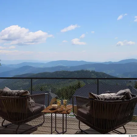 Tomtegl-bergchalet-no-7-mit-privatsauna-infinitypool-kamin-fitnessraum-1500m-seehoehe 別荘 ホーホ